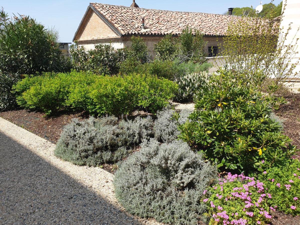 Olivola Apartments Frassinello Monferrato Bagian luar foto