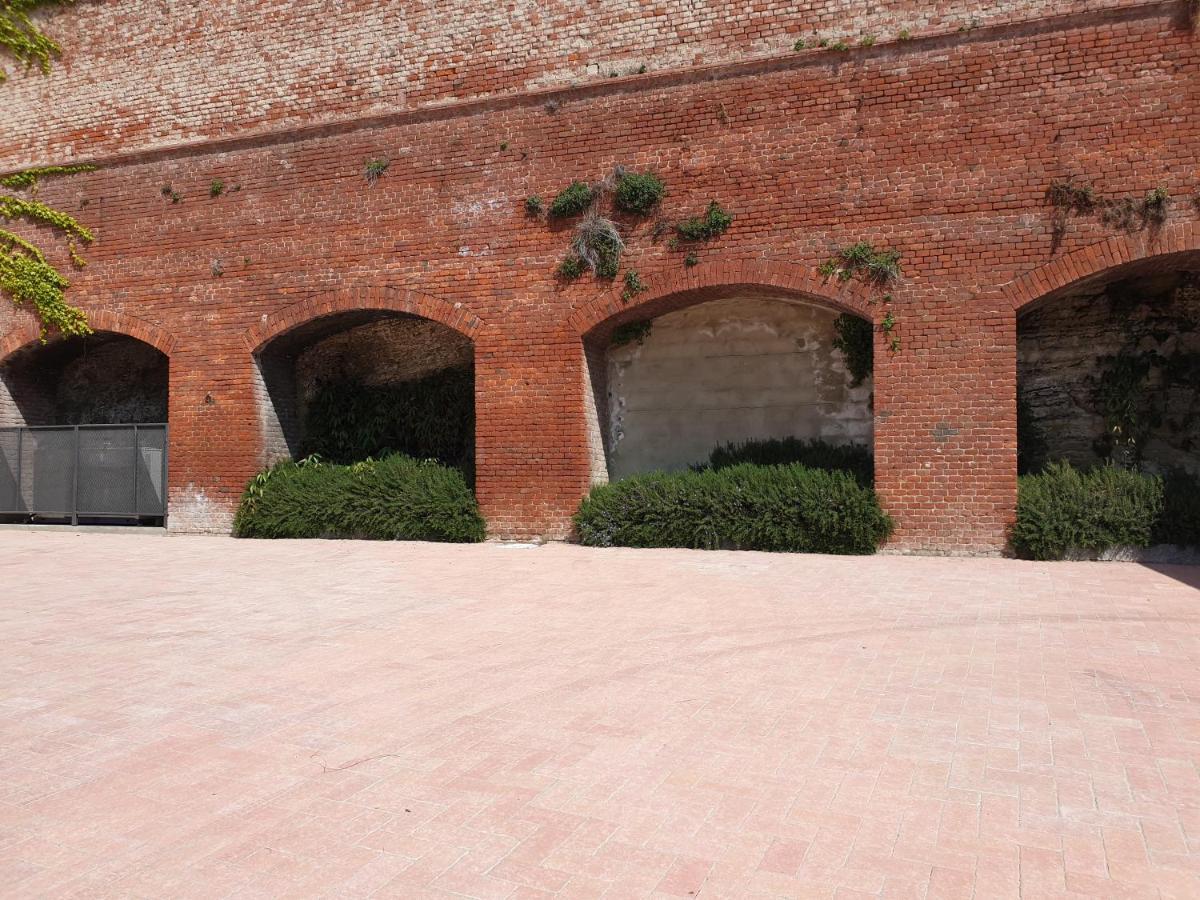 Olivola Apartments Frassinello Monferrato Bagian luar foto