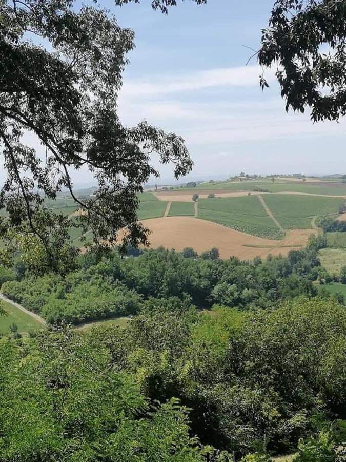 Olivola Apartments Frassinello Monferrato Bagian luar foto