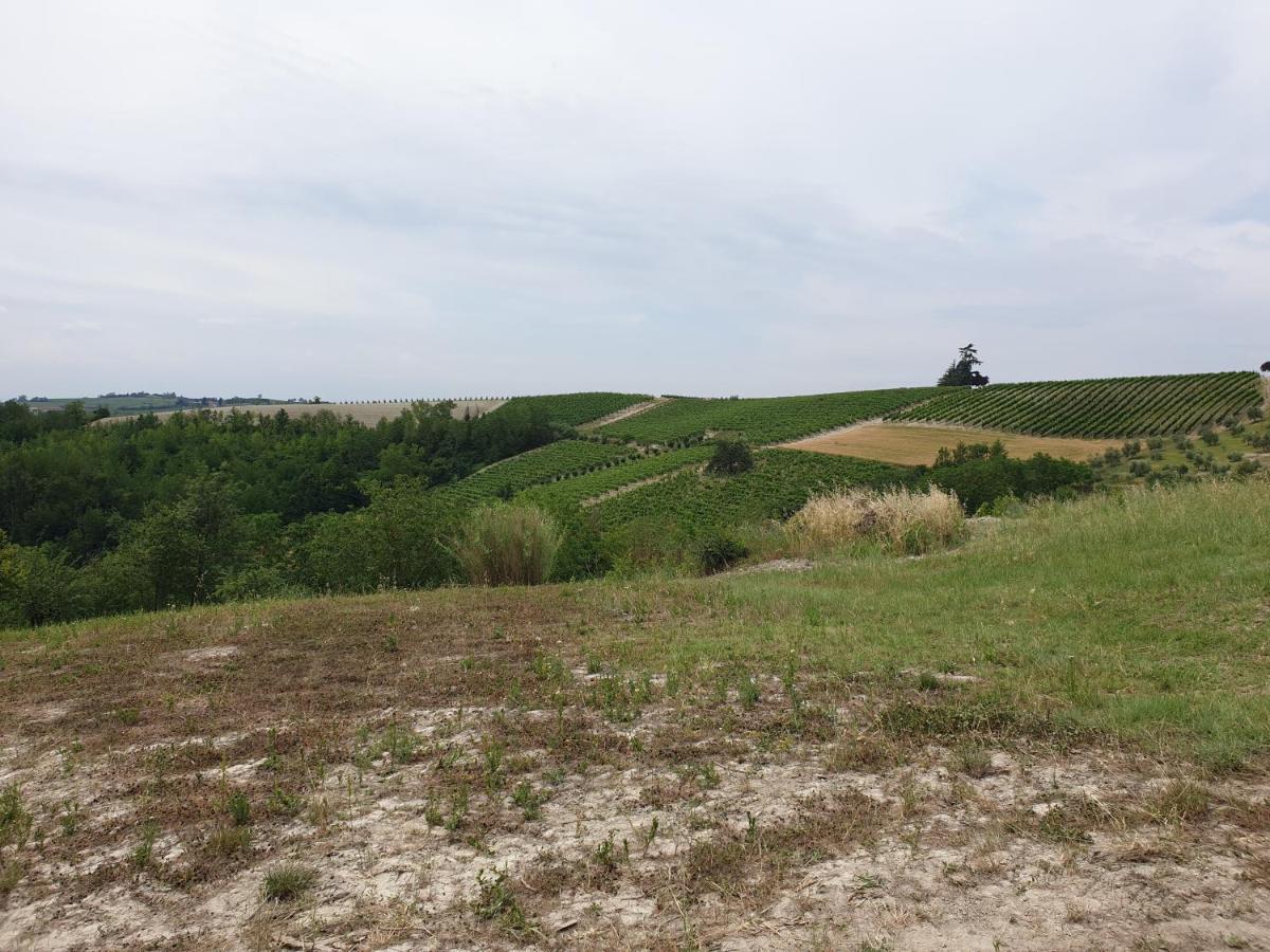 Olivola Apartments Frassinello Monferrato Bagian luar foto